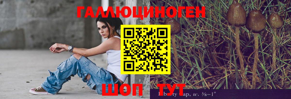 где продают наркотики  Псилоцибиновые грибы мухоморы  Вход с VPN  Кинель 